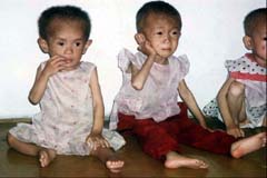 북한 식량난 속 권력 승계 