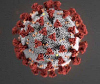 중국 우한에서 시작한 코로나 바이러스, 전 세계로 퍼져 약 8200만명 감염